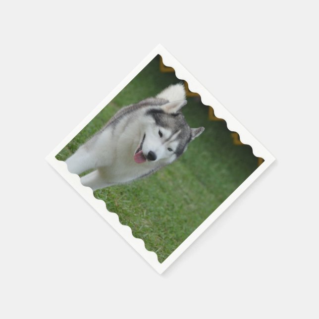 Serviette En Papier Cute Siberian Husky (Coin)