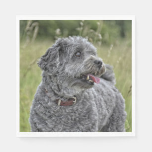 Serviette En Papier Cute Terrier Chien