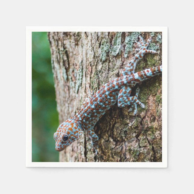 Serviette En Papier Cute Tokay Gecko Lizard (Devant)