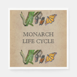 SERVIETTE EN PAPIER CYCLE DE VIE MONARCH