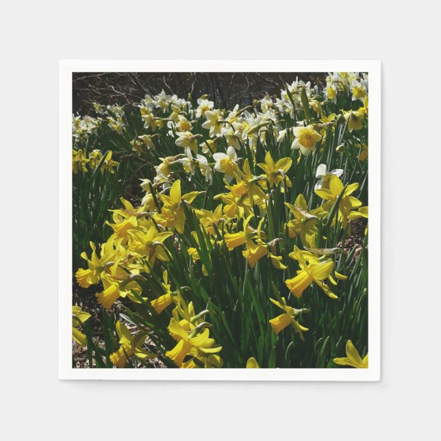 Serviette En Papier Daffodiles jaunes et blancs Fleurs de printemps (Devant)