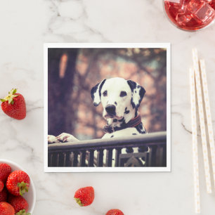 Serviette En Papier Dalmatien