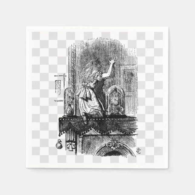 Serviette En Papier Dans le miroir (Devant)