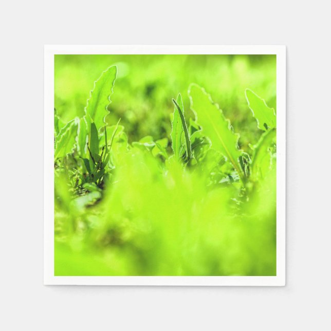 Serviette en papier de style vert brillant et enso (Devant)