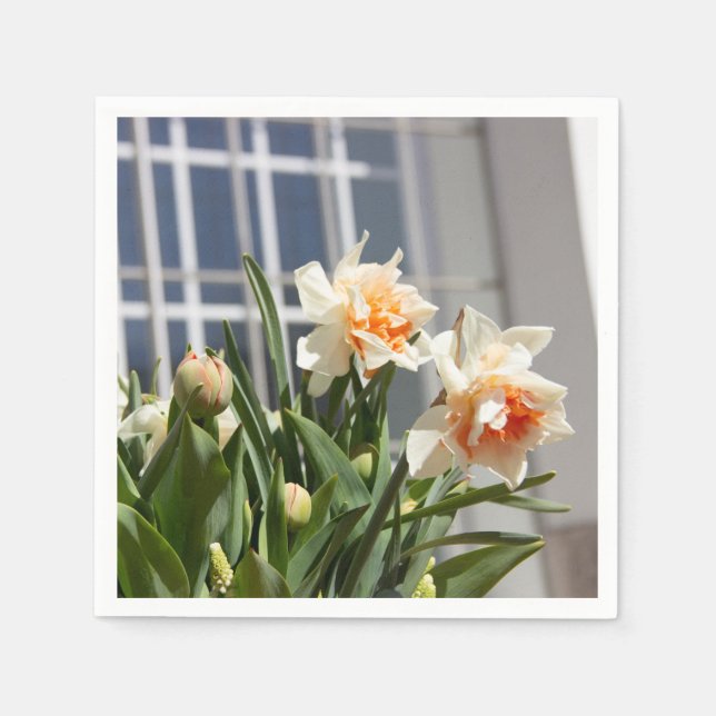 Serviette En Papier Délicat mignon daffodils printemps (Devant)