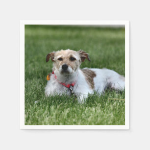 Serviette En Papier Dessous de verre papier Carré Jack