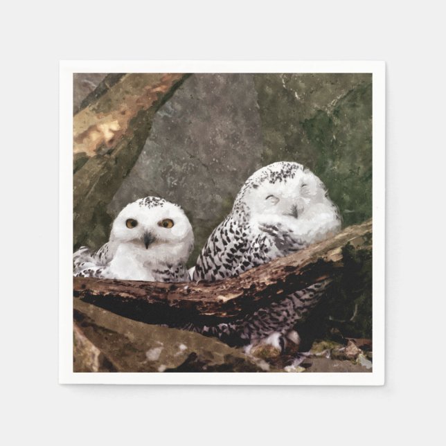 Serviette En Papier Deux Chouettes (Devant)