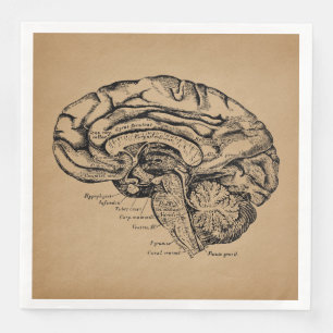 Serviette En Papier Diagramme du cerveau Vintage Antique Art Anatomiqu