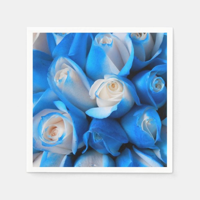 Serviette En Papier Diemudis (Devant)