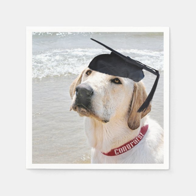 Serviette En Papier Diplômé Labrador Retriever avec bonnet (Devant)
