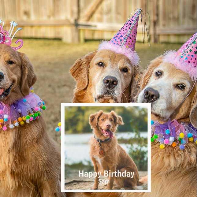 Serviette En Papier Dog Photo Personalized Birthday Cocktail (Créateur téléchargé)