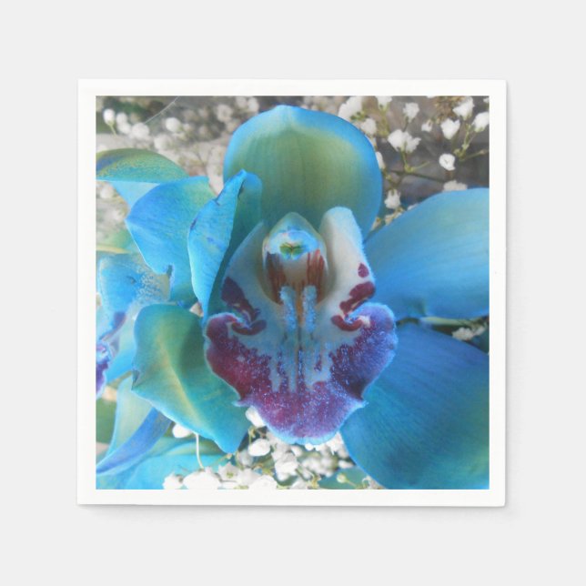 Serviette En Papier Donella (Devant)