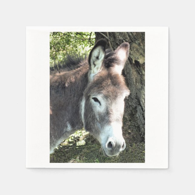 SERVIETTE EN PAPIER DONKEY (Devant)