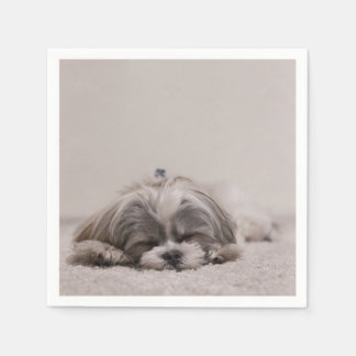 Serviette En Papier Dormir Shih tzu Cocktail serviettes, chien couchan
