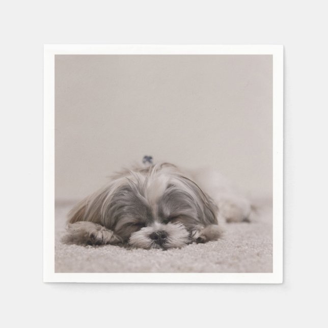 Serviette En Papier Dormir Shih tzu Cocktail serviettes, chien couchan (Devant)