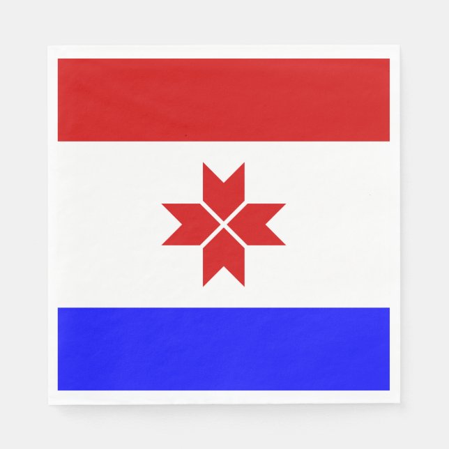 Serviette En Papier Drapeau de la Mordovie (Devant)