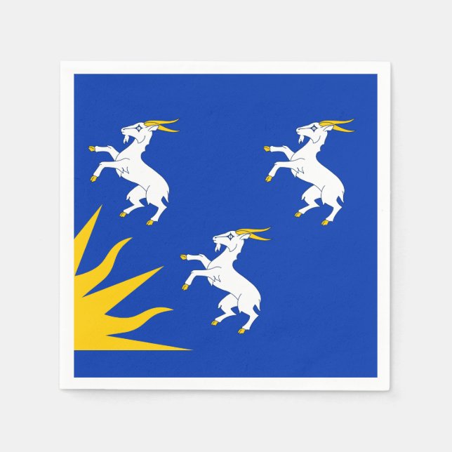 Serviette En Papier Drapeau de Merionethshire Papier serviettes (Devant)