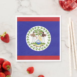 Serviette En Papier Drapeau du Belize