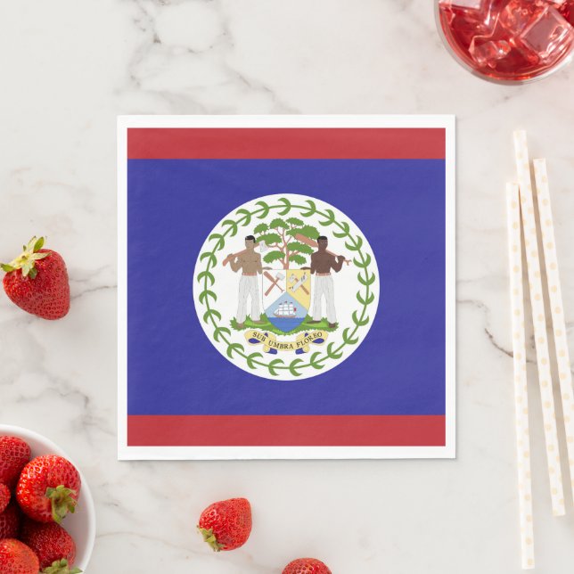 Serviette En Papier Drapeau du Belize (En situation)
