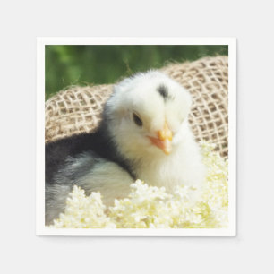 Serviette En Papier drôle animaux mignons ferme de poulet iPad Pro cou