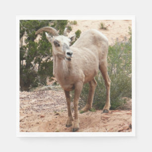 Serviette En Papier Drôle Mouton de Bighorn dans le parc national Zion