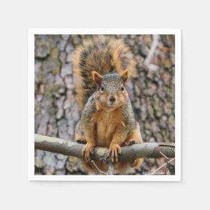 Serviette En Papier Écureuil de renard