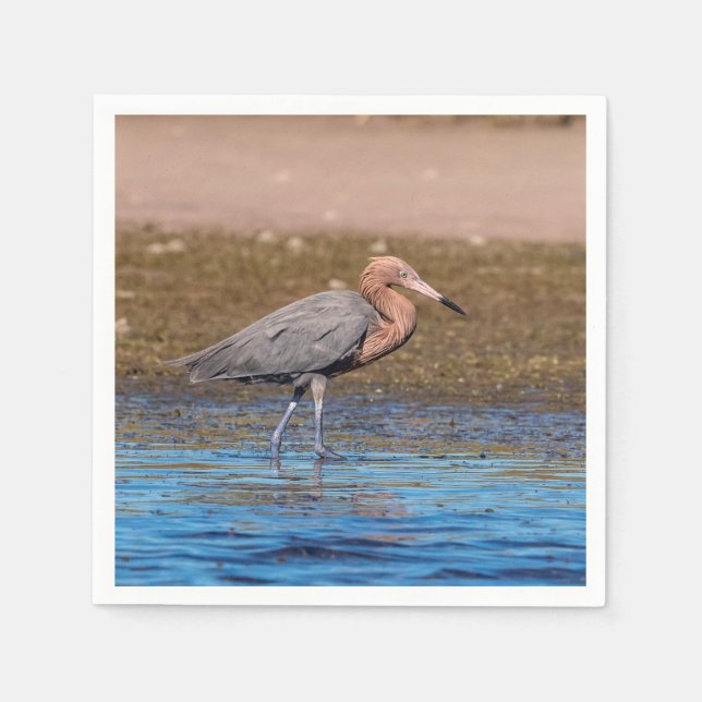 Serviette En Papier Egret rouge sur North Beach (Devant)