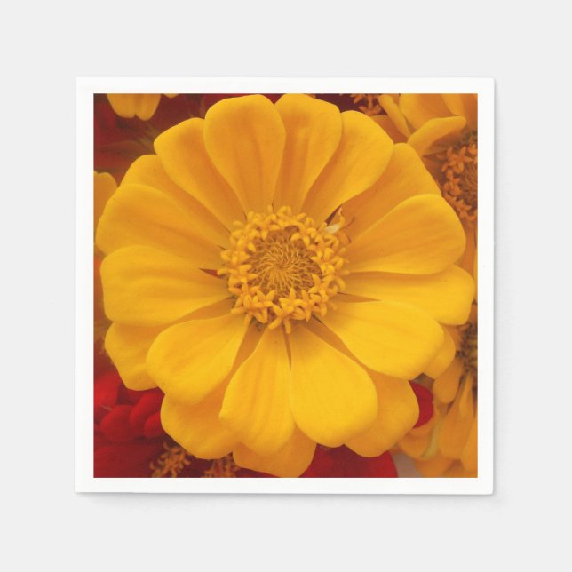 Serviette En Papier Emmer (Devant)