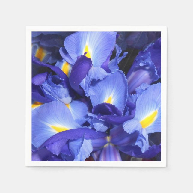 Serviette En Papier Ermengarde (Devant)