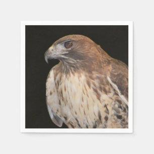 Serviette En Papier Esprit Du Faucon