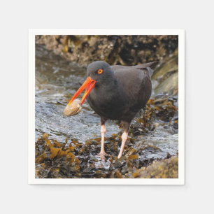 Serviette En Papier Etonnant Oystercatcher noir avec Clam