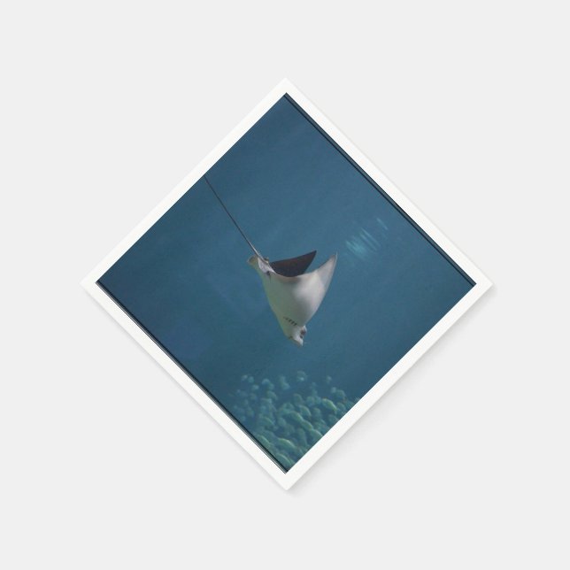 Serviette En Papier Extraordinaire Stingray (Coin)