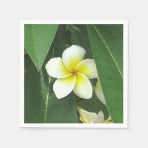 Serviette En Papier Extrémité de Plumeria