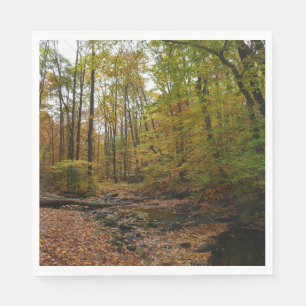 Serviette En Papier Fall Creek à Laurel Hill State Park Pennsylvania