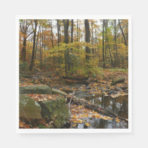 Serviette En Papier Fall Creek avec réflexion à Laurel Hill Park