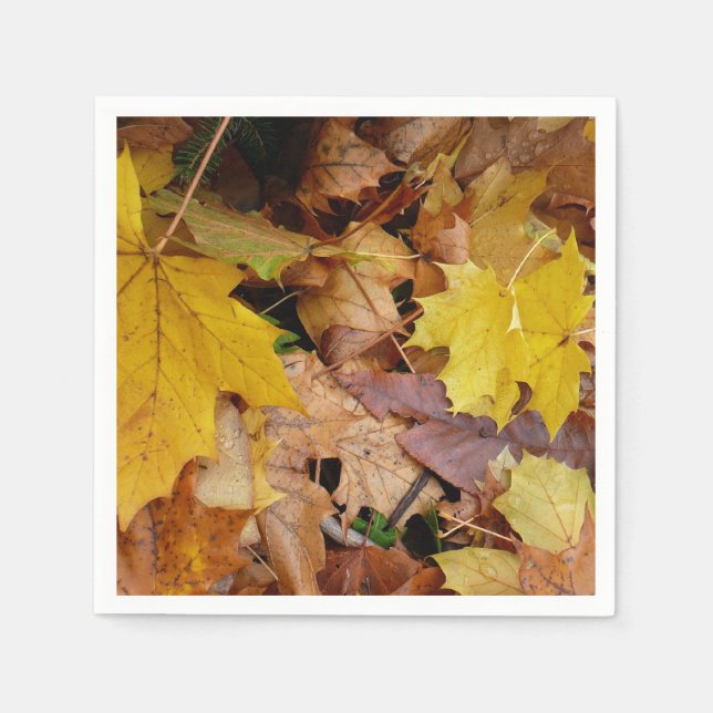 Serviette En Papier Fallen Maple Feuille Jaune Automne Nature (Devant)