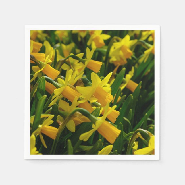 Serviette En Papier Famille de jonquilles (Devant)