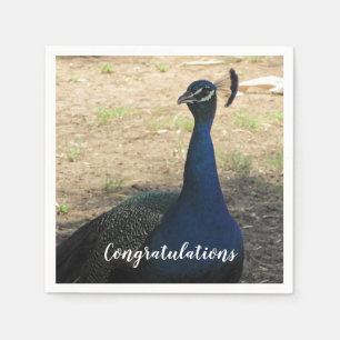 Serviette En Papier Félicitations Blue Proud Peacock Photo Bird