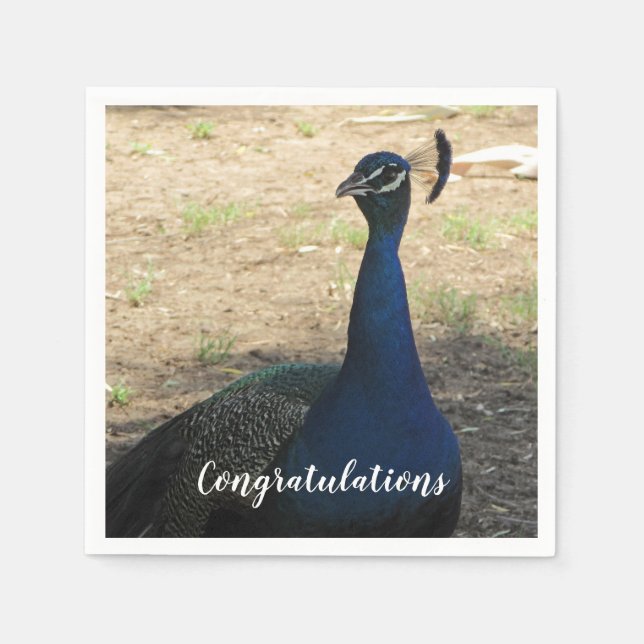 Serviette En Papier Félicitations Blue Proud Peacock Photo Bird (Devant)