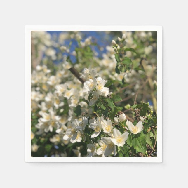 Serviette En Papier Feminine florale (Devant)