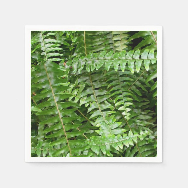 Serviette En Papier Fermer Fronds I Green Nature (Devant)