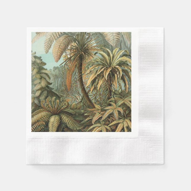 Serviette En Papier Ferns Palm Tree Antiquité Botanique Ferns Art (Devant)