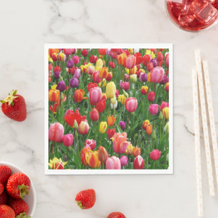 Serviette En Papier Festival de Tulip