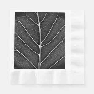 Serviette En Papier Feuille lumineuse noir et blanc en gros plan