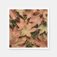 Feuilles de érable d'automne dorées Mousse Feuilla