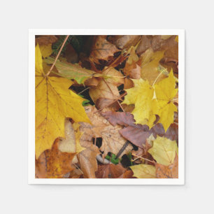 Serviette En Papier Feuilles de Érable Tombées Jaune Automne Nature