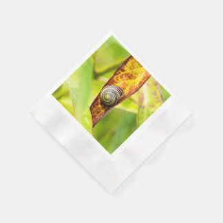 Serviette En Papier fixation calme