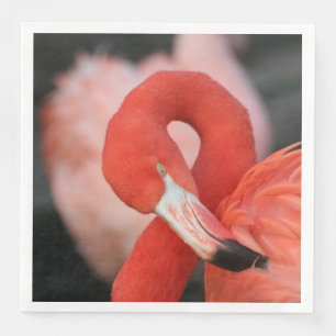 Serviette En Papier Flamant rose 001
