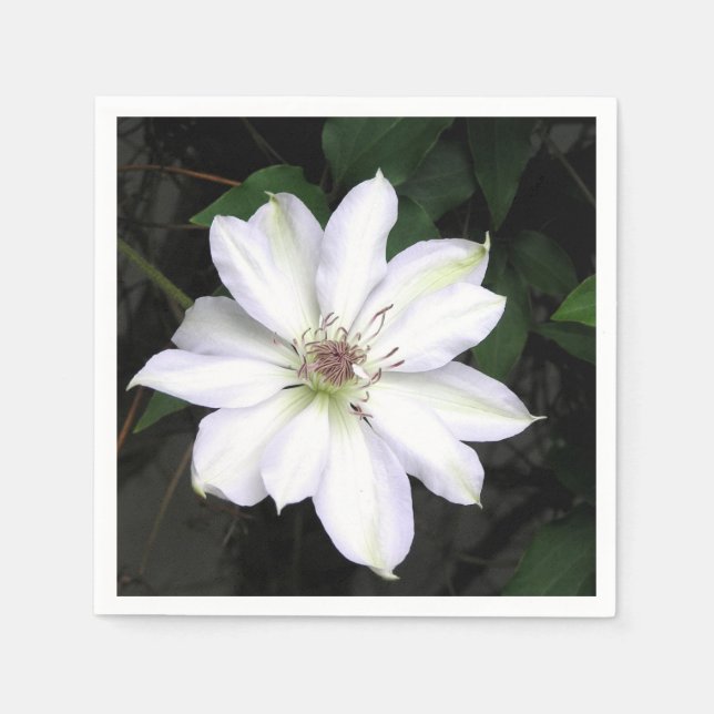 Serviette En Papier Fleur de clématite blanche (Devant)