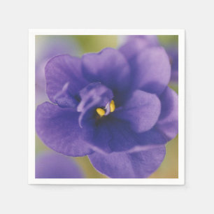 Serviette En Papier Fleur de fleurs bleues de Violet Saintpaulia Zoomé